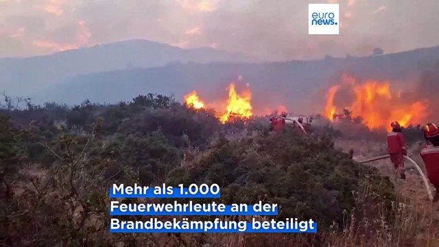 Albanien - Bulgarien: EU hilft bei der Bewältigung von mehr als 230 Brandherden