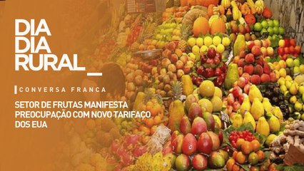 Setor de frutas manifesta preocupação com novas tarifas dos EUA