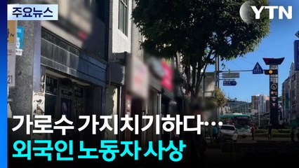 가지치기하던 외국인 노동자 사상...곳곳 화재 잇따라 / YTN