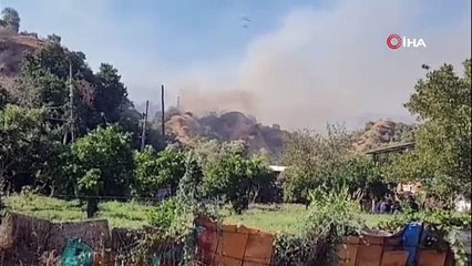 Zirai alanda başlayan yangın ormana sıçradı, müdahale devam ediyor