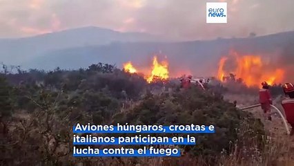 Albania y Bulgaria piden a ayuda a la UE para hacer frente a los incendios