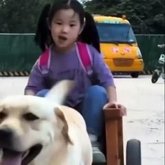 Dog picks up a little girl from school every day with a car made by het father 😊