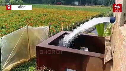 নদিয়ায় খনিজ সম্পদের সন্ধান, কেন থমকে উত্তোলনের কাজ; উঠছে প্রশ্ন