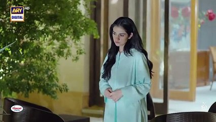 Sher Episode 17 _ Danish Taimoor _ Sarah Khan