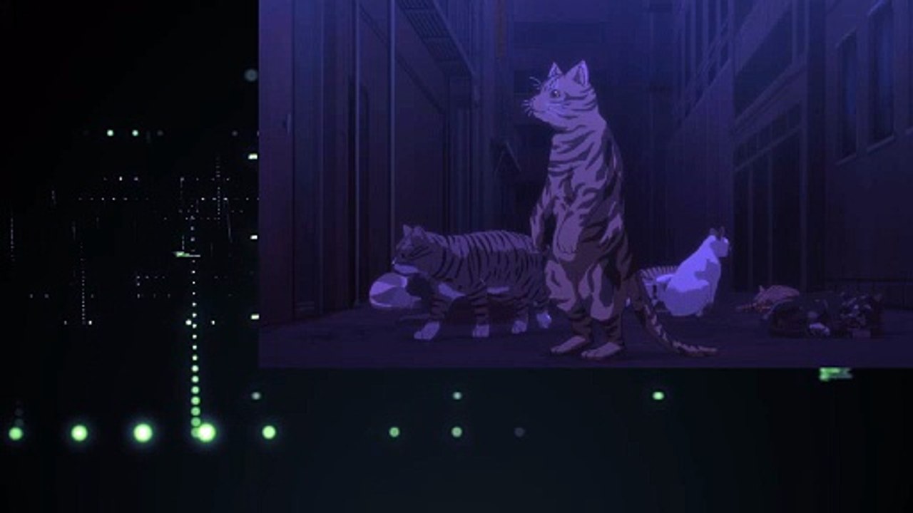 Nyaight of the Living Cat Episode 4 Review: "The Cat Is Hash Matter" – Feline Chaos Deepens!