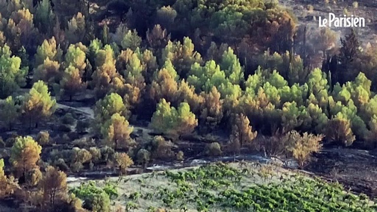 Aude : plus de 600 ha ravagés par un incendie, le feu dorénavant fixé