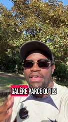 Pourquoi 90% échouent avec la DSA (et comment l’éviter)