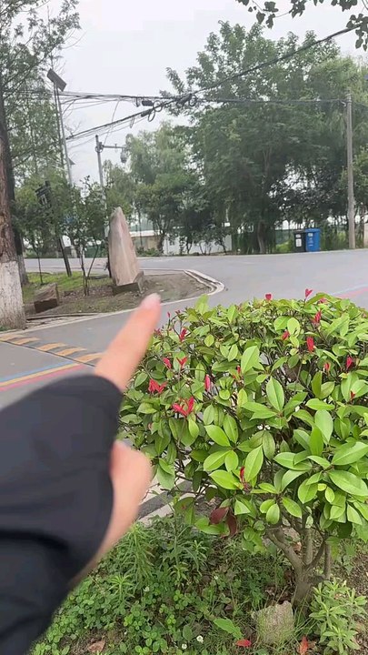 All right All right I see #cars #luxurycars #luxury #luxuryautomobiles #automobile #viral #top #fypchallenge