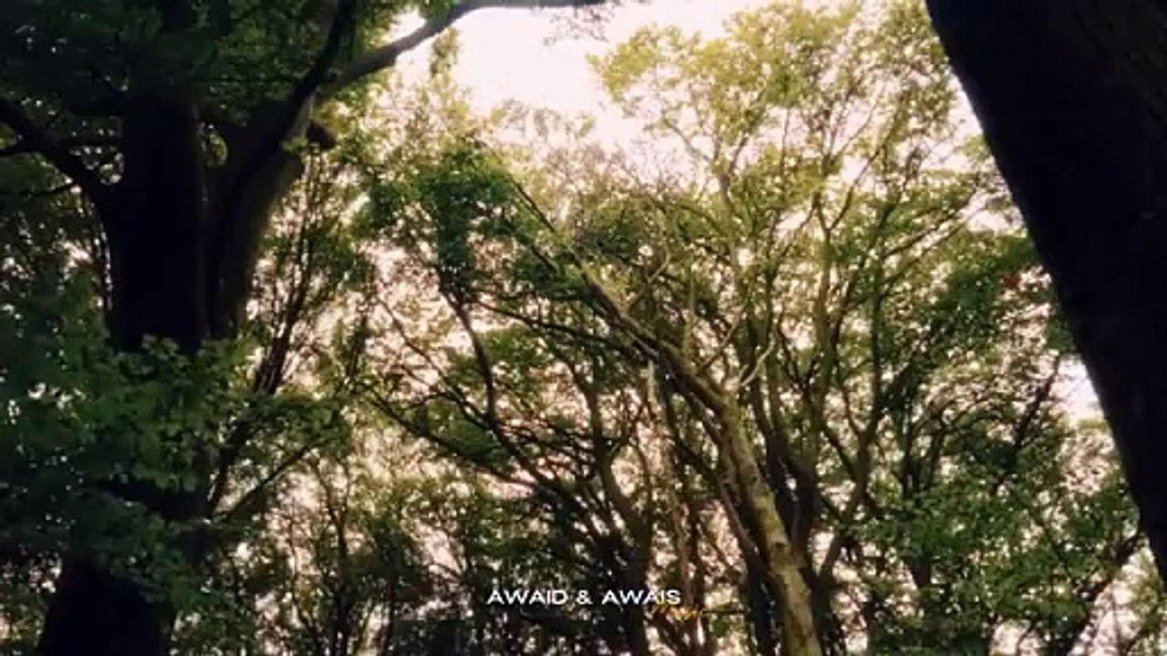 Love Lost Mashup - Talwiinder x Taimour Baig x Talha Anjum ft. Talha Yunus