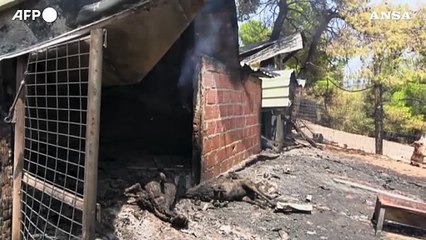 Incendio devasta il villaggio di Psachna sull'isola greca di Evia