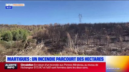 Martigues : un incendie parcourt plus de 5 hectares