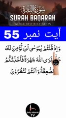 Al-Quran - Surah 2 - Al-Baqara - Ayah 55 | daily islamic tv