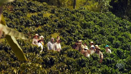 Gaivota segue coordenando gravações de documentário com colhedores