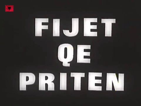 ❤ Fijet qe priten Filma Shqiptare #shqip #filmashqip #albania #gentigjini #shqiperi