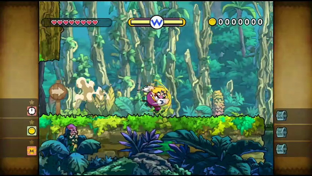 Wario Land: The Shake Dimension online multiplayer - wii