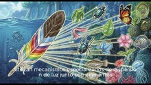 ¡Asombroso Descubrimiento! El Secreto Oculto Tras el Vibrante Plumaje de las Aves y su Potencial Tecnológico