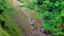 funnyshorts comedyshorts foryou viralshorts trendi