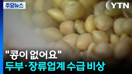 "콩이 없어요"...두부·장류업계 원료 수급 비상 / YTN