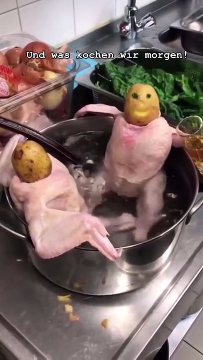 Chicken pool 🤣🤣🤣😂😂😂