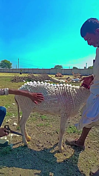 New model got 👍😜😜