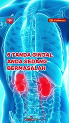 5 Tanda Ginjal Anda Sedang Bermasalah