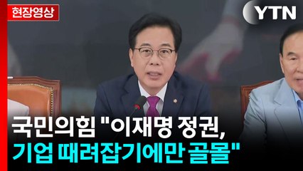 [현장영상+] 국민의힘 "이재명 정권, 기업 때려잡기에만 골몰" / YTN