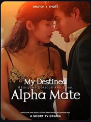 My Destined Alpha Mate Moive - Full Movie