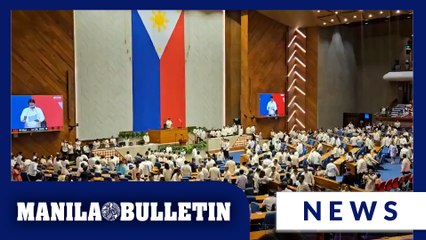 House opens first session of the 20th Congress