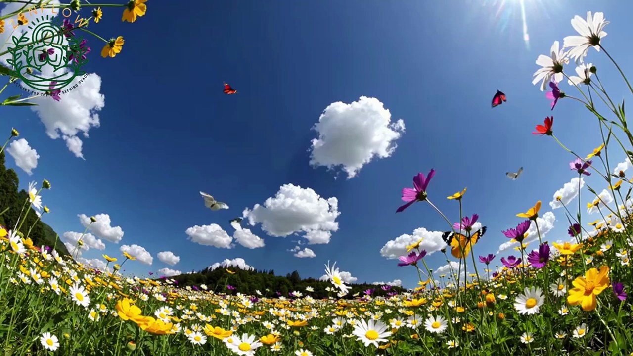 🌻🧘‍♂️Moments of Stillness with Christ💕Faith in Jesus🎼Meditative Relaxation Music🙏God Message Today💕