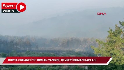 Bursa Orhaneli'de orman yangını; çevreyi duman kapladı
