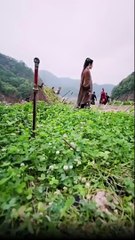 The Sword of Vengeance Chinese Drama - English Sub