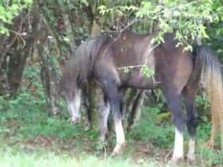 quiara et ruby 150507