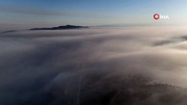 Bursa'daki orman yangınında göz gözü görmüyor!