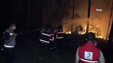Gece görüşlü helikopter ve uçak olmayınca Bursa'da yangına pet şişeli müdahale!