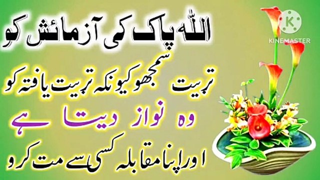 Allah Pak Ki Azmaish! Best Urdu Quotes🔥! Urdu Islamic Quotes💥! Islamic YouTube🔥! ISLAMIC URDU MEWAT