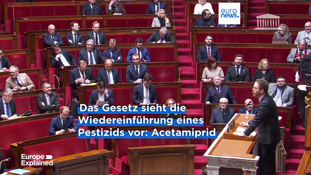 Nachrichten des Tages | 28. Juli - Morgenausgabe