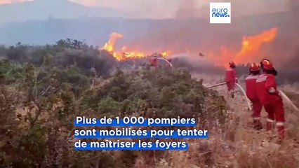 Canicule et incendies en Albanie et en Bulgarie : l'UE appelée en renfort