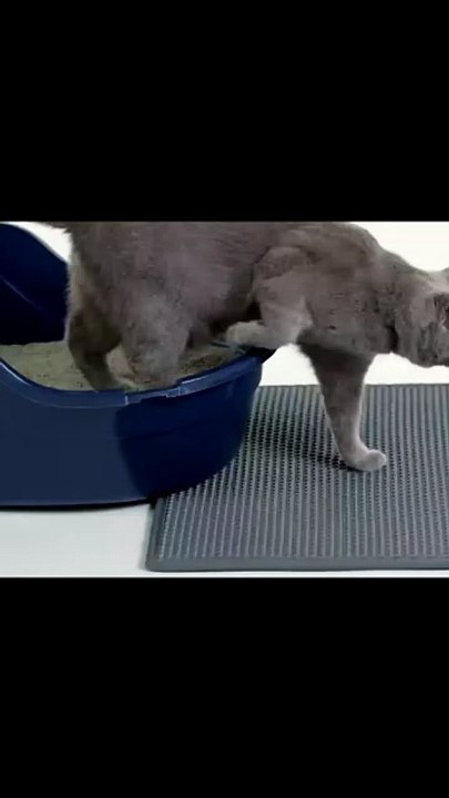 Pet Cat Litter Mat Waterproof Double Layer Cat Litter Trapping Pet Litter Box Mat Clean Pad Products For Cats Accessories