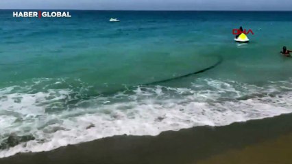 Kirliliğiyle gündeme gelen sahilde manidar görüntü