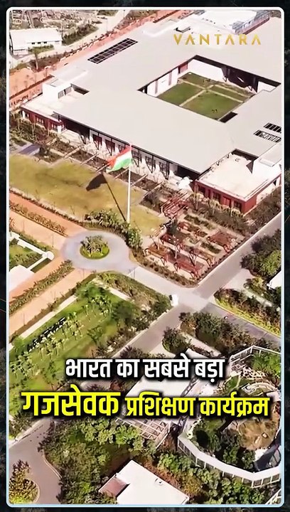 जब उद्देश्य हो संरक्षण और संकल्प हो सच्चा- तब जन्म लेता है 'वनतारा' जैसा आंदोलन 🐘🌿 अनंत अंबानी की पहल, हाथियों को मिलेगी नई जिंदगी! #गजसेवा #AnantAmbani #Vantara #Jamnnagar #ElephantCare #animalslove #elephant #gujarat #humanity