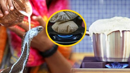 Nag Panchami Rules 2025: नाग पंचमी के दिन क्या करना चाहिए क्या नहीं,दूध उबालना और तवे पर रोटी..