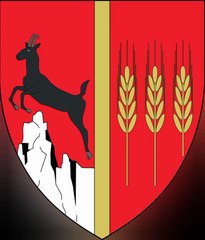 Coat of Arms of Neamt County. Lambang Kebesaran Kabupaten Neamt. Stema Județului Neamț. Armoiries du comté de Neamț. Brasão do Condado de Neamț. Escudo de armas del condado de Neamț. Stemma del distretto di Neamț. Wappen des Kreises Neamț. ネアムツ県の紋章