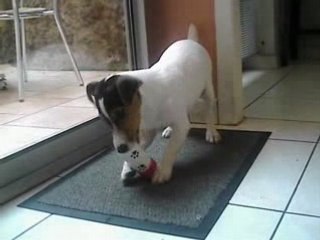 corto et son nouveau jouet