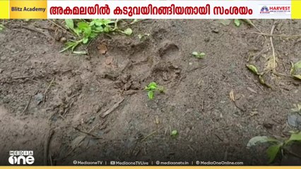 തൃശൂർ മുള്ളൂർക്കര അകമലയിൽ ജനവാസമേഖലയിൽ കടുവയിറങ്ങിയതായി സംശയം; പരിശോധനയുമായി വനംവകുപ്പ്