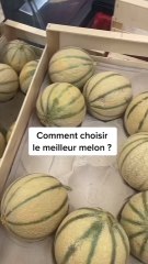 Question Cruciale du Code de la Route 🚗