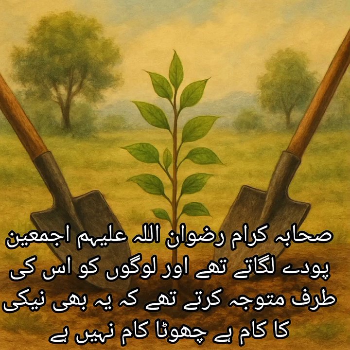 صحابہ کرام رضوان اللہ علیہم اجمعین پودے لگاتے ت...
