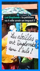 Loi Duplomb : qu'est-ce que la pétition pourrait changer ?