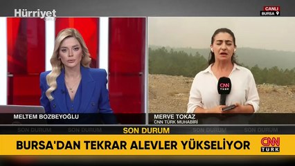 Bursa'da orman yangını: Alevler tekrar yükseliyor