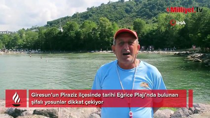 Japonlar, Türkiye'de bu sırrın peşinde: Yaşım 69 ama 28 gibi hissediyorum