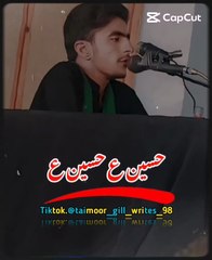 Allama Mashhad Raza #islam #life #reality and world #shorts